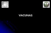 VACUNAS - depa.fquim.unam.mxdepa.fquim.unam.mx/bacteriologia/pdfs/vacunas160317r.pdf · con dosis mínimas del Ag ... Un plásmido suele constituir el vehículo transportador ...