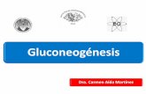 Gluconeogénesis - Guía de Bioquímica | Universidad … · y mitocondria GLUCONEOGÉNESIS ... Fundamentos de Bioquímica. 2ª. Ed. Voet, Voet, Pratt . postprandial ... piruvato