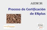Proceso de Certificación de ENplus - expobiomasa.com · 554 Certificados ISO/TS 123 Certificados EN 9100 41 Accesibilidad 5 Gestión Avanzada 124 Tacógrafos Digitales 149 UNE-EN