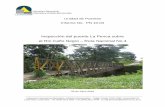 Inspección del puente La Penca sobre el Río Caño … · 2014-04-28 · dimensiones generales. ... únicamente en observaciones visuales. El informe no comprende la revisión de