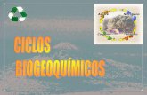 Ecosistemas bacterianos y ciclos biogeoquímicosiespoetaclaudio.centros.educa.jcyl.es/sitio/upload/ciclos... · CICLO DEL HIERRO El Fe se encuentra en las rocas en forma de compuestos