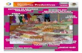 Boletín de Opciones Productivas - NORMATECA … · Proyecto Productivo Entrega de Recursos de Opciones Productivas • Ciudad Victoria, Tamaulipas 2.4 millones de pesos Contraloría