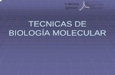 TECNICAS DE BIOLOGIA MOLECULAR · tecnicas de biologÍa molecular. endonucleasas o enzimas de restricciÓn ... tecnicas de biologia molecular author: genetica created date: 6/9/2008