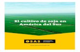 El cultivo de soja en América del Sur - OSASobservatoriosoja.org/wp-content/uploads/2014/08/OSAS-fact-sheets... · sentado en el área de trabajo del OSAS. En el año 2013 en esta