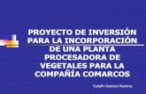 Proyecto de inversión para la incorporación de una planta ... · DE UNA PLANTA PROCESADORA DE ... Alverjita, Haba, Col, Yuca, Cebolla, Tomate y Verde. ANÀLISIS E INVESTIGACIÒN