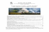 Fuego bueno o malo, ¿quién decide? - wrm.org.uyn-238_ESP.pdf · Una reflexión sobre fuegos y bosques Nuestra Opinión: Fuego, bosques y pueblos: conocimientos y prácticas amenazadas