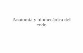 Anatomía y biomecánica del codo - nutricionyosteopatia.com · Anatomía del codo •El codo articulación intermedia del brazo. •Formada por tres articulaciones: •Humero cubital.