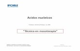 Acidos nucleícos - bioeduciencias.files.wordpress.com · Objetivo: Identificar los ácidos nucleicos como biomolecula y reconocer su importancia biológica. CONCEPTOS GENERALES Los