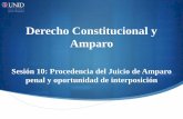 Derecho Constitucional y Amparo - moodle2.unid.edu.mxmoodle2.unid.edu.mx/dts_cursos_mdl/pos/DR/CA/S10/CA10_Visual.pdf · tanto en la etapa de investigación y fuera de ésta es decir,