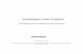 JUGANDO CON FUEGO - espalin.esy.esespalin.esy.es/ciencia/fuegos/incineracion.pdf · 1 JUGANDO CON FUEGO INCINERACION DE RESIDUOS PELIGROSOS - Segunda Edición - 1993 Informe preparado