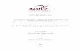 ESCUELA DE TECNOLOGÍAS ESTUDIO FINANCIERO PARA LA APERTURA ...dspace.udla.edu.ec/bitstream/33000/7185/1/UDLA-EC-TTF-2013-02.pdf · La creación de un estudio financiero para la apertura