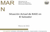Situación Actual de RAEE en El Salvador - itu.int · pilas, lámparas, durapax, entre otros . Ministerio de Medio Ambiente y Recursos MARN Naturales ... empresas de reciclaje y exportadores)