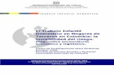 ORGANIZACION INTERNACIONAL DEL TRABAJOwhite.lim.ilo.org/ipec/documentos/ev_tid_colombia.pdf · 1.4 La emergencia del tema en las investigaciones sobre el TID en Colombia 12 ... 5.3.3