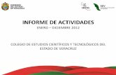 INFORME DE ACTIVIDADES - cecytev.edu.mxcecytev.edu.mx/wp-content/uploads/2014/02/Informe-2012.pdf · Honores a la Bandera Mexicana . en el marco del Programa LUNES CÍVICO. Asiste