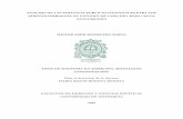 ANÁLISIS DE LAS POLÍTICAS PÚBLICAS …bibliotecadigital.udea.edu.co/bitstream/10495/4666/1/MosqueraSernaH... · análisis de las políticas públicas a la luz de los derechos fundamentales