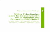 Sitios Prioritarios para la Conservación en el Ámbito del ...old.sernanp.gob.pe/sernanp/archivos/biblioteca/guias_manuales/4 Doc... · San Martín ‐ Arequipa ‐ Moquegua ‐Tacna