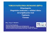 VVIRUS PAPILOMA HUMANO (HPV):IRUS … · CITO – HISTOLOGIA ESTUDIOS VIROLOGICOS ¿CUÁNDO TIENE VALOR CLÍNICO? AYUDA AL DIAGNÓSTICO: discordancia o duda clínico-cito-histo-colposcópica.