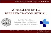 ANOMALÍAS DE LA DIFERENCIACIÓN SEXUALcampus.usal.es/~ogyp/Clases teoricas 2013 2014/Endocrino/ADS.pdf · Anomalías de la diferenciación sexual ... • Pruebas hormonales • Test