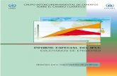 (GtC/yr) - ipcc.ch · Resumen para responsables de políticas Escenarios de emisiones Informe especial del Grupo de trabajo III del IPCC Publicado por el Grupo Intergubernamental