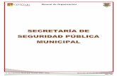 Manual de Organización - Gobierno de Tapachula 2015portal.tapachula.gob.mx/docs/ManualDeOrganizacion12-15/17_Seguri... · Manual de Organización ... Dirección Operativa de Seguridad