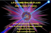 LA CITOMETRIA DE FLUJO - uv.esoconnor/CITOMICA FP 2013/Citometria de Flujo FP.… · citoplasma, vesículas o núcleo de las células de sangre, tejidos linfoides, ... y permiten