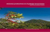 Sistemas productivos en el paisaje veracruzano - … · Veracruz se caracteriza por la diversidad de sus paisajes naturales. ... las características naturales de la Huasteca repelieron