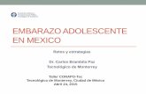 EMBARAZO ADOLESCENTE EN MEXICO - El portal …€¦ · EMBARAZO ADOLESCENTE EN MEXICO ... a disminuir las tasas de embarazo en la adolescencia, ... salud para apoyar el proyecto de