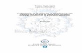 Proyecto Fin de Carrera Ingeniero Industrial …upcommons.upc.edu/bitstream/handle/2099.1/3638/31132-1.pdf · Programación de la secuencia de fabricación en una máquina, con tiempos