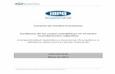 IAPG - Incidencia de los costos energéticos en el … · Incidencia de los costos energéticos en el sector manufacturero argentino 3 INDICE DE TEMAS 1. Introducción. ...