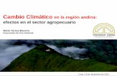 Cambio Climático en la región andina: efectos en el … · Cambio Climático en la región andina: ... el funcionamiento de las economías nacionales y ... Bolivia Colombia Ecuador