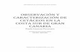 OBSERVACIÓN Y CARACTERIZACIÓN DE … · OBSERVACIÓN Y CARACTERIZACIÓN DE ... analizando sus características específicas, ... marinos de las costas españolas.