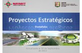 Proyectos Estratégicos - nayarit.gob.mx · Potencial Forestal ‐Silvícola, Ganadero, Minero, ... con la capital del Estado y con el centro ... y dar continuidad al Programa de