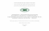 ¨Aislamiento y determinación de bacterias biooxidantes del ...cybertesis.urp.edu.pe/bitstream/urp/846/1/Perez_nm.pdf · UNIVERSIDAD RICARDO PALMA FACULTAD DE CIENCIAS BIOLÓGICAS