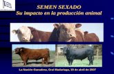 SEMEN SEXADO Su impacto en la producción animalforodegeneticabovina.com.ar/.../uploads/2017/08/SEMEN-SEXADO.pdf · ... en el bovino 3.8 %, cerdo 3.7 %, ovino 4.0% y ... COSTO TOTAL