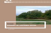 Bosques de Castanea sativa - Jolube Consultor … · para la conservación de los tipos de hábitat de interés comunitario en ... te a la de otras formaciones caducifolias. La fauna