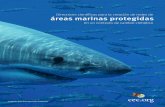 Directrices científicas para la creación de redes de … · Foto portada: Comisión Nacional de Áreas Naturales Protegidas áreas marinas protegidas . Compiladores: R. J. Brock,