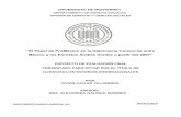“El Papel de ProMéxico en la Diplomacia Comercial entrebibsrv.udem.edu.mx:8080/e-books/Tesis/000306510_LEI.pdf · Fuentes Primarias ... las cuales enfatizan cómo su ... sino es