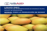 MANUAL DE PRODUCCION - GRA La Libertad · 2012-02-29 · Plan de inversión por un cultivo de mango en el séptimo año ... La polinización del mango es esencialmente ... Una diferencia