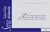 Trámite procesal Cuadernos de del juicio de divorciorendonguerrero.com/wp-content/uploads/2017/04/TRAMITE-PROCESA… · Recursos procesales 10. Juicio de Amparo I. México. ... los