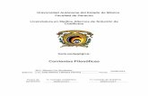 Universidad Autónoma del Estado de México Facultad …derecho.uaemex.mx/U2018-A/Medios/Guias_A/LMA201.pdf · Objetivo: Analizar la evolución en tiempo y espacio de las corrientes