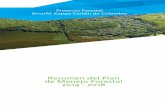 Proyecto Forestal Smurfit Kappa Cartón de Colombia de... · INDICE DE GRÁFICAS Gráfica 1. Organización del Proyecto Forestal de SKCC ... plantaciones en terrenos de aptitud forestal