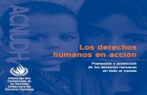 ACNUDH Los derechos humanos en acción - ohchr.org · teger los derechos humanos de las personas en todo el mundo. ... cosas a: observar, supervisar y facilitar informes analíticos