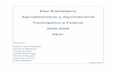 Plan Estratégico Agroalimentario y Agroindustrial ... · visión compartida de futuro de todos los actores sociales vinculados al Sector Agroalimentario y Agroindustrial Argentino