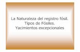 La Naturaleza del registro fósil. Tipos de Fósiles ... · 4.1.2 Alterados - Inorgánica ... Son yacimientos es que se conservan los cuerpos fósiles sin alterar ... de Libros (Teruel)