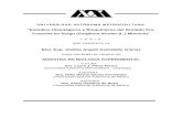 Biol. Exp. Alethia Angoli Avendaño Gómez MAESTRA …148.206.53.84/tesiuami/UAMI12752.pdf · UNIVERSIDAD AUTÓNOMA METROPOLITANA “Estudios Histológicos y Bioquímicos del Brotado