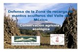 Defensa de la Zona de recarga de mantos acuíferos del ...inicio.ifai.org.mx/ProyectoComunidades/Guardianes intercambio... · joya, la coate pec cabi , el tepanc al tecor ral tlatelpa