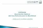 GASNAM Asociación Ibérica del Gas Natural para la …gasnam.es/wp-content/uploads/2016/01/Presentacion_GASNAM_basic… · La promoción directa de GASNAM se hace a través de distintas