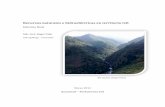 Recursos naturales e hidroeléctricas en territorio ixil · b. Descripción general de recursos naturales agua y bosque en ... las actividades de las empresas hidroeléctricas y hayan
