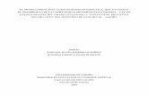 EL MODELO DIDACTEXT COMO ESTRATEGIA …biblioteca.udenar.edu.co:8085/atenea/biblioteca/90534.pdf · aspectos funcionales y formales de la lengua, de la estructura textual del tipo