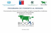 Promoviendo el desarrollo de la energía a biogás en … · ... accesibilidad y áreas de operación de una planta de digestión anaeróbica • Delimitar (cercos, ... de los residuos
